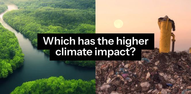 Image of a forest and a landfill site side by side