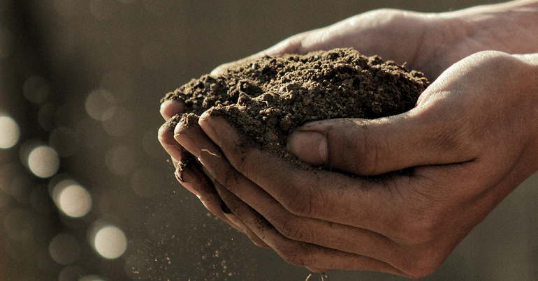 Cupped hands holding soil