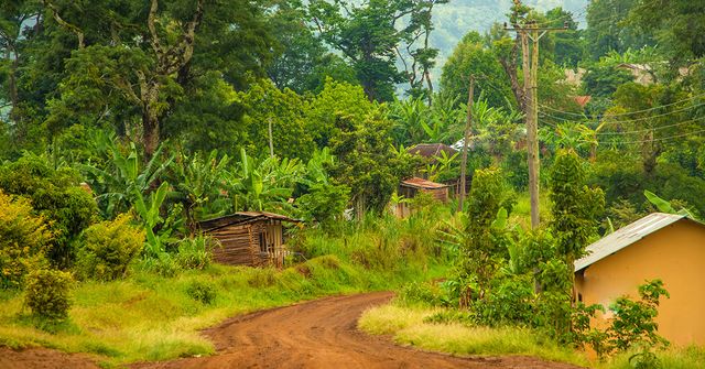 Beyond carbon Q&A: image showing buildings and local community development within a rainforest