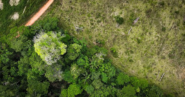 Image showing front line of deforestation. VM0048 REDD methodology