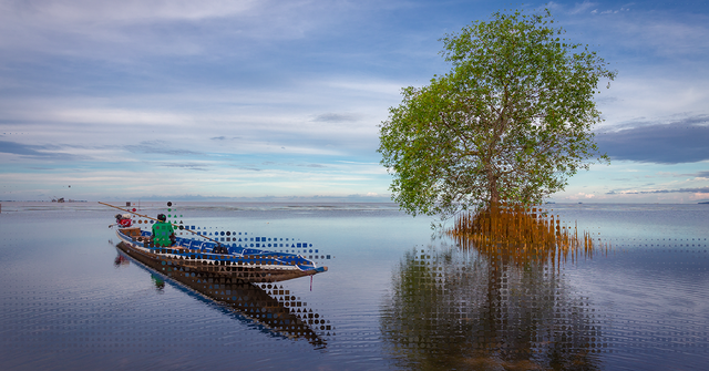 Beyond Carbon Risk Assessment methodology - BeZero Carbon