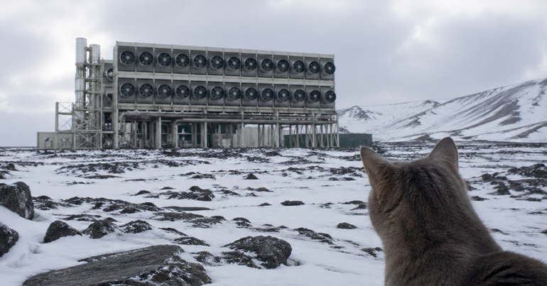 A cat observes a direct air capture facility