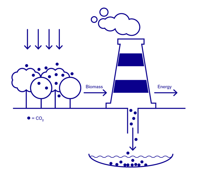 Illustration showing CO₂ absorbed by forest that can be used as biogas to produce energy.