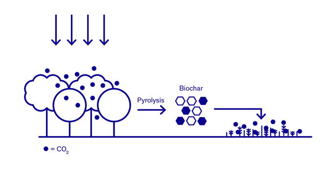 Illustration showing the phases of using biochar as a carbon removal method. CO₂ is absorbed by trees, which undergo pyrolysis to form biochar, which is then spread over soil or buried to store carbon.