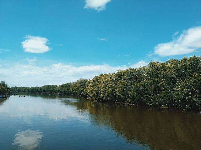 Water surrounded by lush green trees