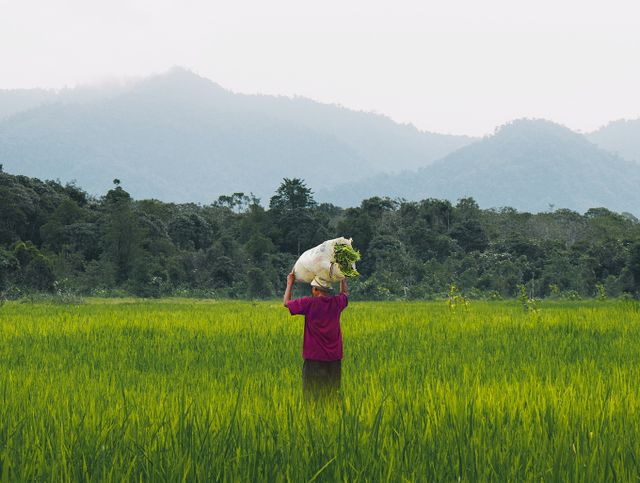 Image of a lady working in a field. Information availability and SDG claims