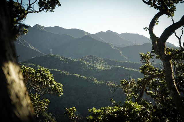 Image of a mountain scape framed by trees, pillars of a carbon rating