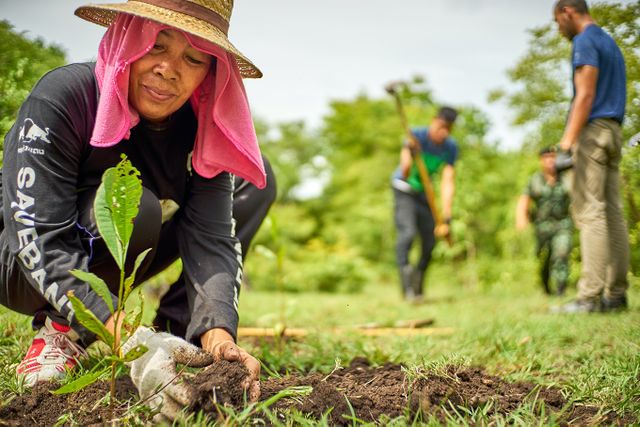 Image of someone planting a tree, Afforestation, Reforestation and Restoration