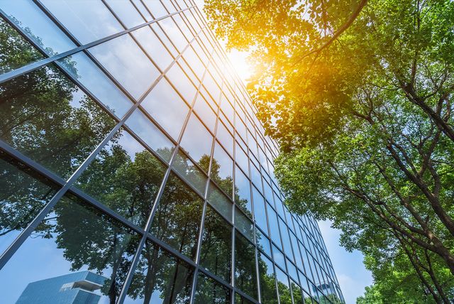 6 ways companies benefit from using carbon credits