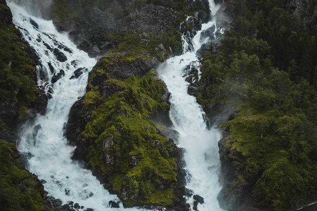 BeZero finds that better quality nature-based credits are commanding a 20 percent price premium