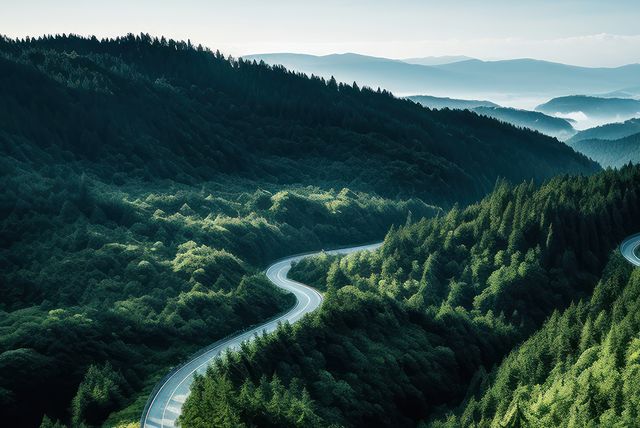 Webinar - Carbon credits - the path to high quality