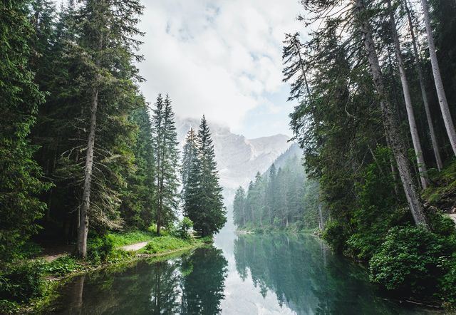 Quality isn't binary in the VCM. Image of a pine forest with a river running through the middle.