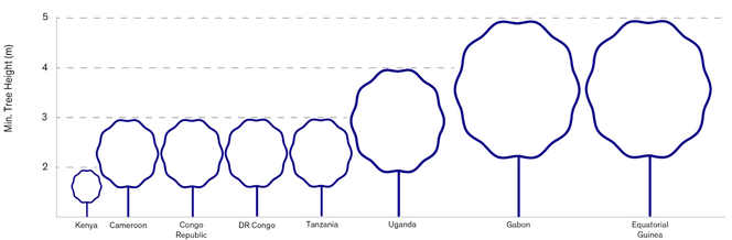 Infographic showing the tree height (m) for a selection of countries as per their national forest definitions