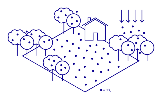 Illustration of soil carbon sequestration