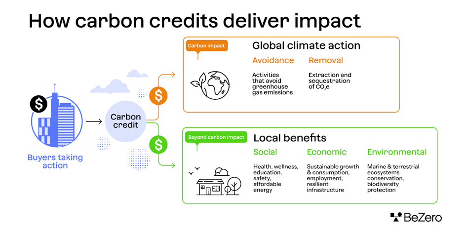 Infographic showing the effect of buying carbon credits separated into global climate action and local benefits