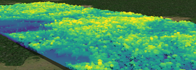 Image depicting the use of airborne LiDAR on an area of forest