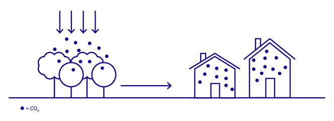 Illustration of wood in construction, and how it stores carbon