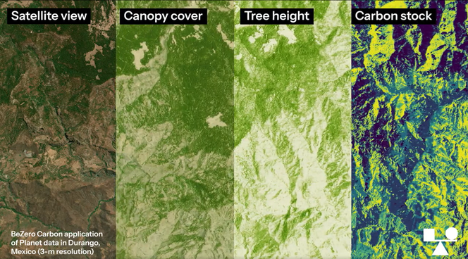 Image showing BeZero's application of Planet data in Durango Mexico. 4 slides: satellite view, canopy cover, tree height, and carbon stock.