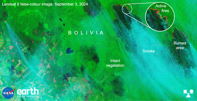 False-colour image showing recent fires in Bolivia