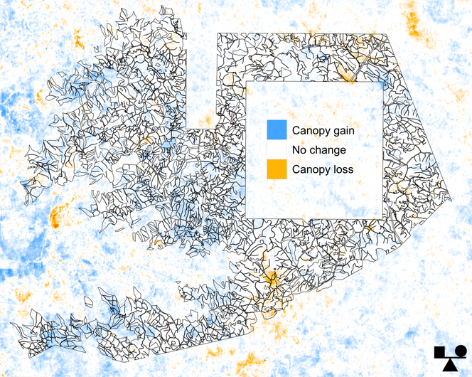 Map showing tree canopy gain and loss for an IFM project