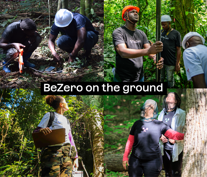 Image showing BeZero scientists on the ground at project sites in Uganda, Brazil and United States.