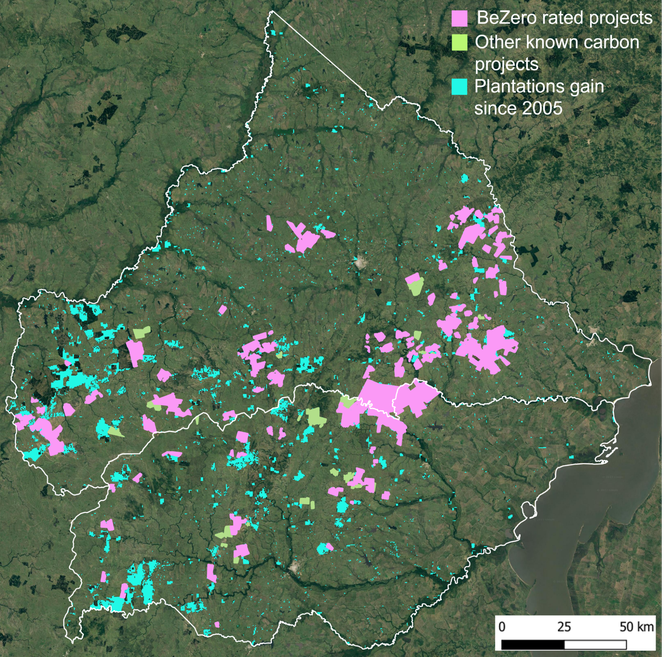 Map showing the expansion of commercial plantations since 2005, showing the majority were set up independently of carbon finance