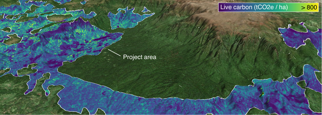 Geospatial image of globally-derived carbon estimates