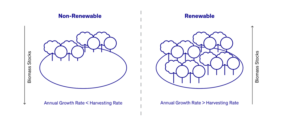 Infographic showing if the annual growth rate is lower than the tree harvesting rate, a forestry project is non-renewable. If the annual growth rate is higher than the harvesting rate the project is renewable.