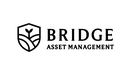 Bridge asset management logo