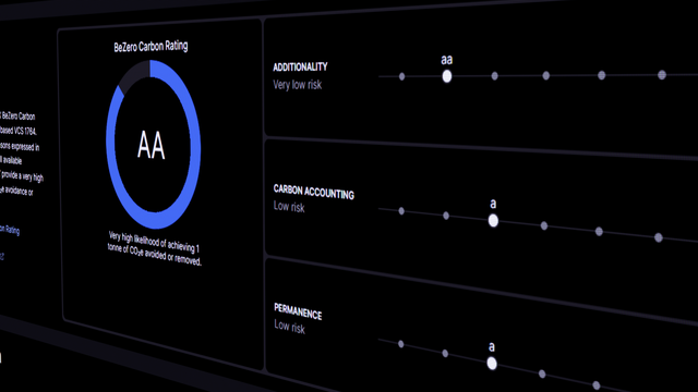Screenshot of rating on the BeZero Carbon's platform