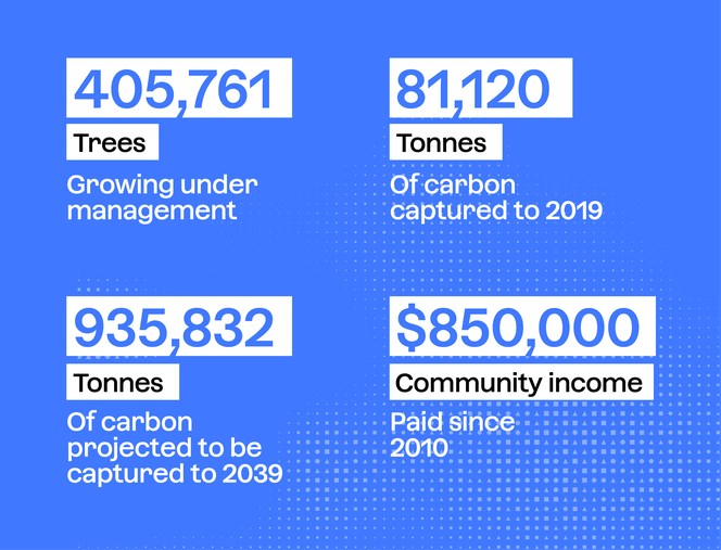 Infographic showing the impact of the WithOneSeed project as of November 2023