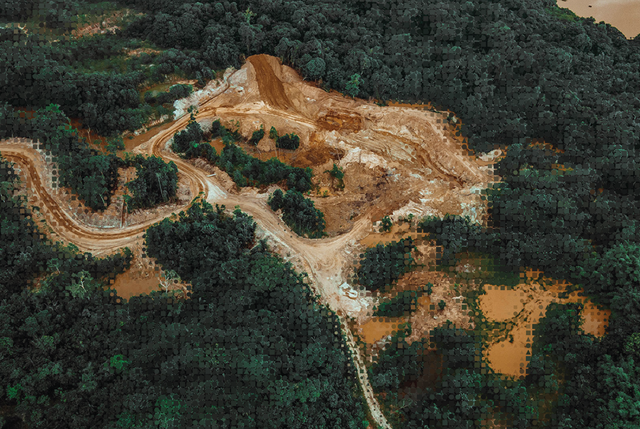 Ariel image showing deforestation. Avoided Deforestation methodology