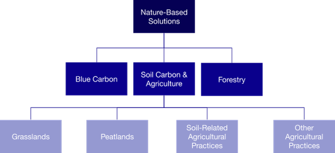 Flow chart showing BeZero's classification of the Nature-Based Solutions sector group. Below Nature-Based Solutions: Blue Carbon, Soil Carbon & Agriculture and Forestry sectors. Below the Soil Carbon & Agriculture sector: Grasslands, Peatlands, Soil-Related Agricultural Practices, and Other Agricultural Practices sub-sectors