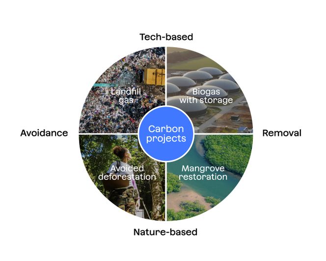 Diagram showing the types of carbon project from tech-based to nature-based, and carbon credit type from carbon avoidance to carbon removal