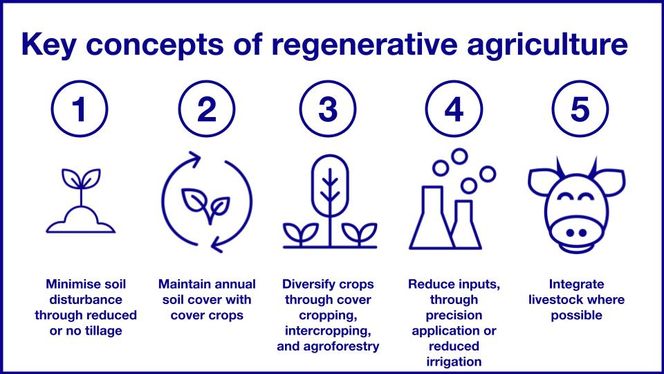 Infographic showing the key concepts of regenerative agriculture. 1 - minimise soil disturbance through reduced or no tillage. 2 - maintain annual soil cover with cover crops. 3 - Diversify crops through cover cropping, intercropping, and agroforestry. 4 - reduce inputs through precision application or reduced irrigation. 5 - integrate livestock where possible.