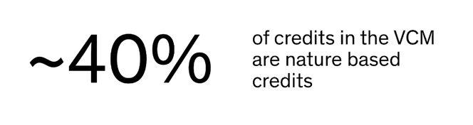 Around 40% of credits in the Voluntary Carbon Market (VCM) are nature based credits